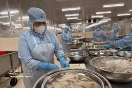 出口水产品加工活动。图自越通社