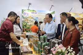 代表们参观展区。图自越通社