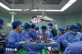 九龙江三角洲首次进行脑死亡捐献者肾脏移植手术。图自越通社