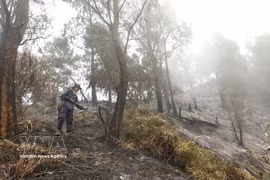 外南梦地区被森林火灾烟雾笼罩。图自越通社