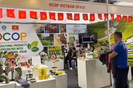 向欧洲市场推介越南典型的“一乡一品”产品。图自Vietnam+