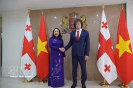 越南国家副主席武氏映春与格鲁吉亚总理伊拉克利·科巴希泽。图自越通社
