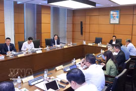 胡志明市国会代表团分组讨论。图自越通社