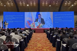 研讨会现场。图自越通社
