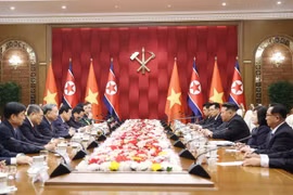 越共中央总书记苏林与朝鲜劳动党总书记、国务委员长金正恩举行会谈。图自越通社