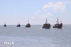 解除IUU“黄牌”警告：乂安省加强渔船进出港综合监管