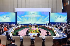 以“以人为中心的可持续绿色转型”为主题的讨论会场景。图自越通社