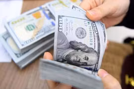 4月14日上午越南国家银行外币价格均上涨。图自互联网