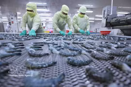 一季度越南水产品出口增长8%。图自越通社