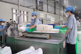 西宁省一家企业的生产链。图自越通社