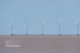 和平1号和2号风电场的海上风力发电机组塔筒系统。图自越通社