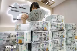 美国新关税决策后越南国内市场美元价格上涨。图自越通社