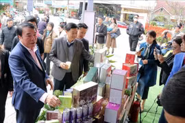 林同省领导人参观大叻葡萄酒、茶叶、咖啡和土特产街的展位。图自越通社