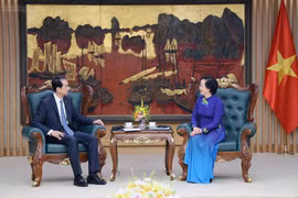 越共中央书记处书记、政府副总理范氏清茶会见中国驻越南大使何炜。图自chinhphu.vn