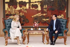 越南政府副总理胡国勇会见欧盟负责初创企业、研究和创新的专员叶卡捷琳娜·扎哈里耶娃。图自越通社