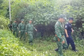 越中开展边境联合巡逻执法行动。图自越通社