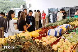 在中国友宜关口岸地区出售多种越南水果。图自越通社