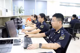 集中通关模式提升通关效率 助力财政增收