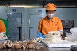 林同省瞄准清真产业新赛道