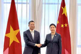 越南驻中国大使范青平和中国司法部部长贺荣。图自越通社