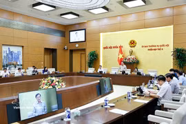 国会副主席阮克定发表讲话。图自越通社