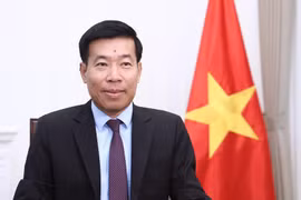 越共中央委员、外交部党委常务副书记、外交部副部长阮孟强。越南外交部供图