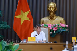越南政府总理黎明兴发表讲话。图自越通社