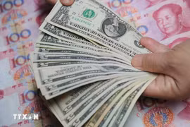6月6日上午越南国内市场美元和人民币价格涨跌互现。图自越通社