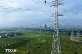 印尼电力产量拟再增加2000兆瓦。图自越通社