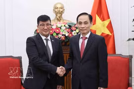 越南外交部长黎怀忠会见蒙古国驻越大使吉吉·塞里贾夫。图自越通社