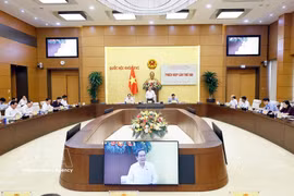 陈青敏主席：法律文件审查成果须即时转化为立法执法实践