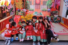 海外同庆家乡年——全球越侨喜迎2026年春节
