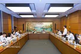 河内市国会代表分组讨论。图自越通社