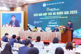 越南政府副总理阮志勇发表讲话。图自越通社