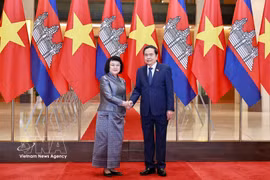 越南国会主席陈青敏与柬埔寨国会主席昆索达莉举行会谈
