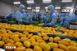 芒果加工生产链。图自越通社