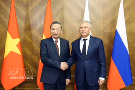 越共中央总书记、国家主席苏林会见俄罗斯国家杜马主席维亚切斯拉夫·沃洛金。图自越通社