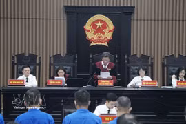 河内市人民法院一审公开开庭审理阮伯欢及其他27名被告。图自越通社