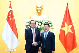 2024年3月，越南工贸部部长阮鸿延与新加坡贸工部第二部长陈诗龙就扩大经贸和能源合作举行会谈。图自越通社