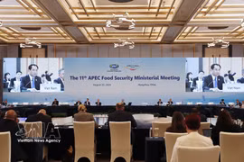 第十一届亚太经合组织（APEC）粮食安全部长级会议现场。图自越通社