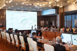 杜布纳联合原子核研究所会议场景。图自越通社