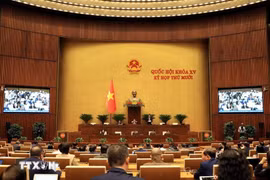 第十五届国会第十次会议场景。图自越通社