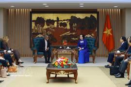 越共中央书记处书记、政府副总理范氏清茶会见联合国儿童基金会亚太地区办事处主任桑杰·韦杰塞克若。图自越通社