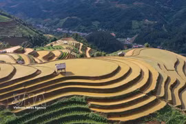 老街省：令人沉醉的木江界梯田