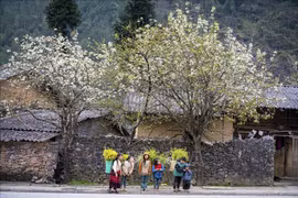 河江省自然风光和人民的美丽是吸引游客的原因。图自越通社