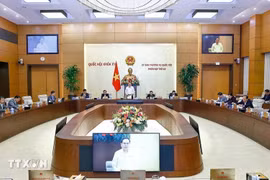 越南国会主席陈青敏主持会议。图自越通社