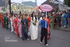 2026年河内莲花节游行活动。图自越通社