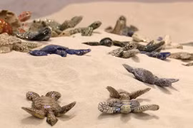 以陶瓷海龟为语 为守护自然发声