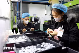 Cotec塑料有限责任公司。图自越通社