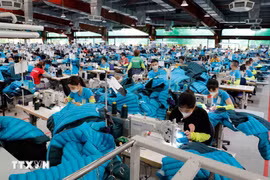 Maxport纺织公司为出口美国和欧盟市场缝制服装。图自越通社